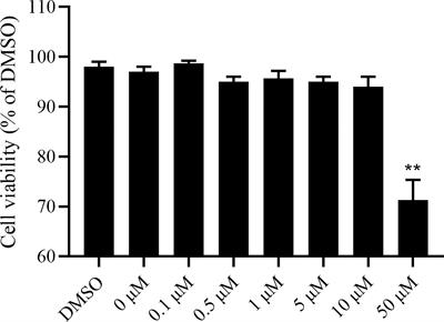 Antiviral and Virucidal Activities of Camptothecin on Fowl Adenovirus Serotype 4 by Blocking Virus Replication